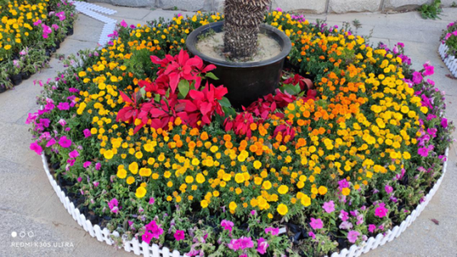 双十一最具性价比机型,RedmiK30S至尊纪念版上手体验|144Hz|LCD屏幕|Redmi_新浪新闻 双十一最具性价比机型,RedmiK30S至尊纪念版上手体验|144Hz|LCD屏幕|Redmi_新浪新闻