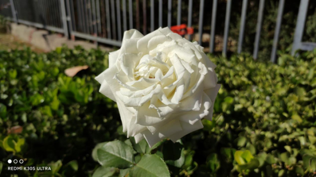 双十一最具性价比机型,RedmiK30S至尊纪念版上手体验|144Hz|LCD屏幕|Redmi_新浪新闻 双十一最具性价比机型,RedmiK30S至尊纪念版上手体验|144Hz|LCD屏幕|Redmi_新浪新闻