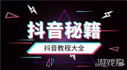 关于抖音代刷网站推广链接免费免费抖音网站推广_游戏狗手机版的信息