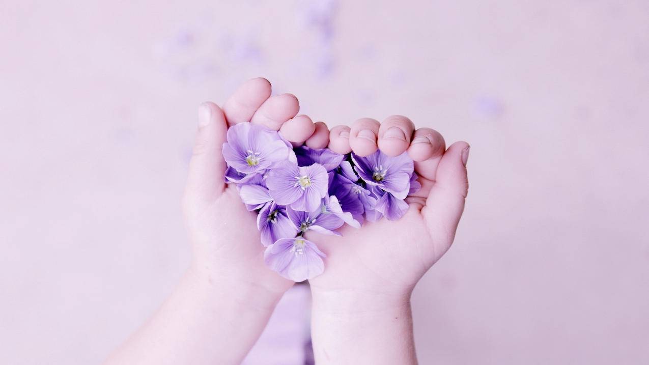 关于女王代网刷,低价快手在线刷业务平台,在线刷快手双击免费网站的信息 关于女王代网刷,低价快手在线刷业务平台,在线刷快手双击免费网站的信息