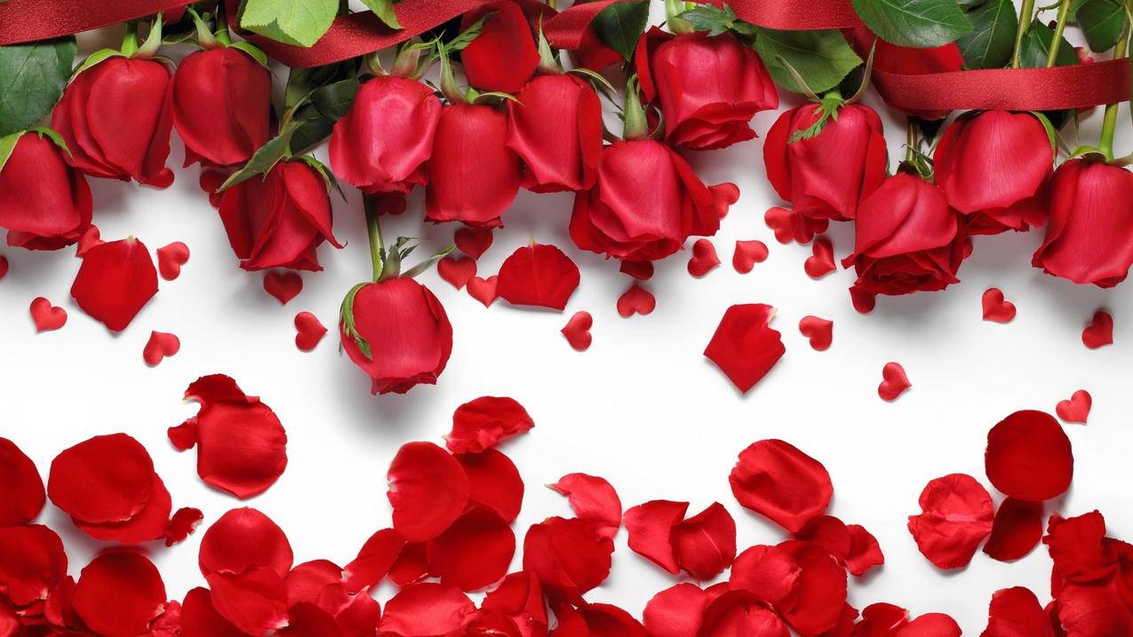 qq说说赞免费领_说说赞免费领取1000赞