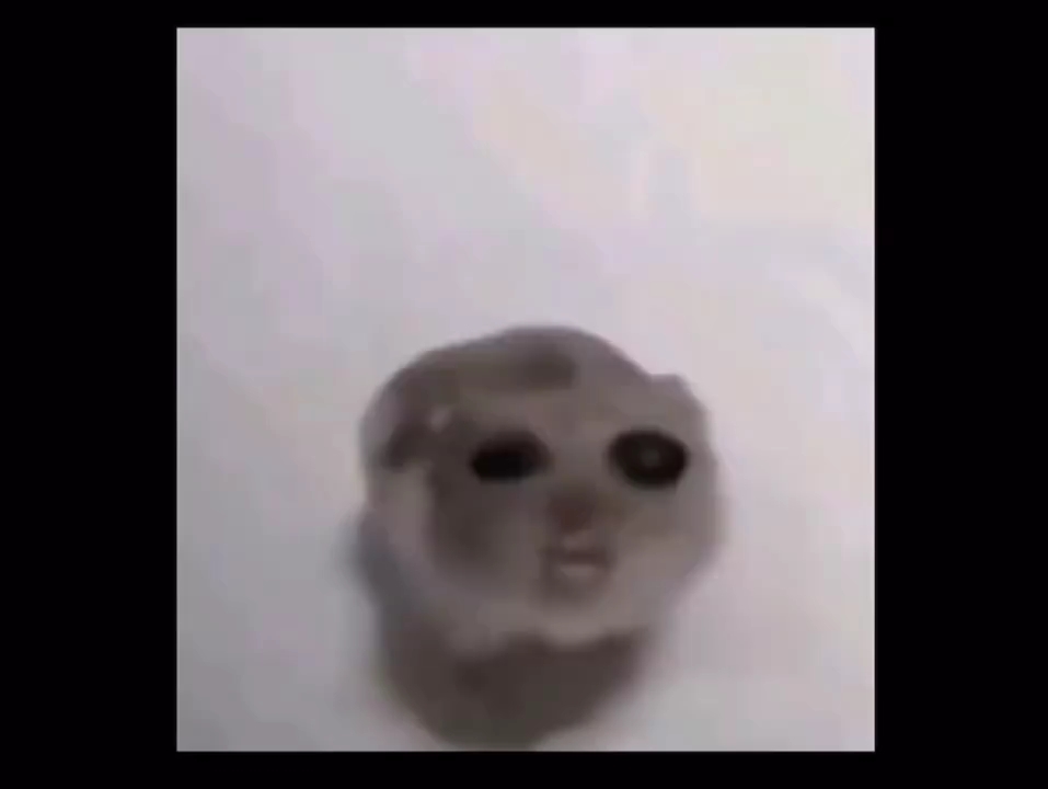 1元10000个赞的简单介绍 1元10000个赞的简单介绍