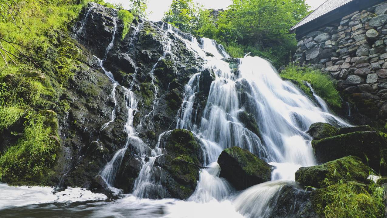 关于腾讯代刷网的信息 关于腾讯代刷网的信息